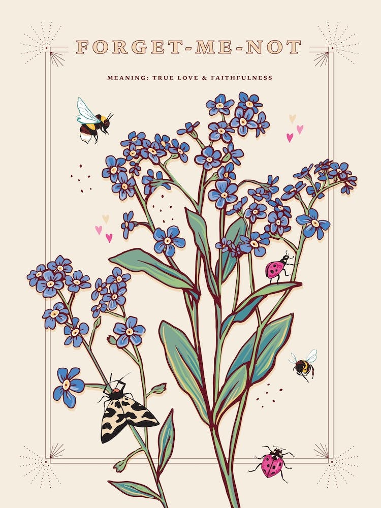 Forget Me Not On Cream