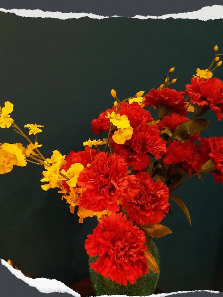 Carnations In A Vase