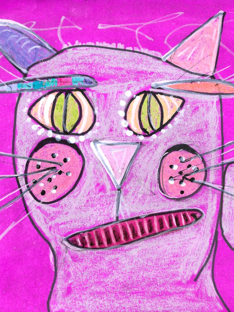 Pink Cat 1
