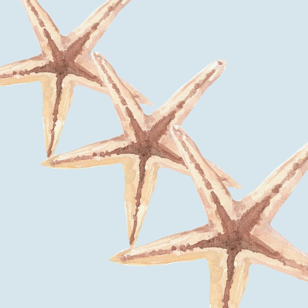 Starfish Canvas Art