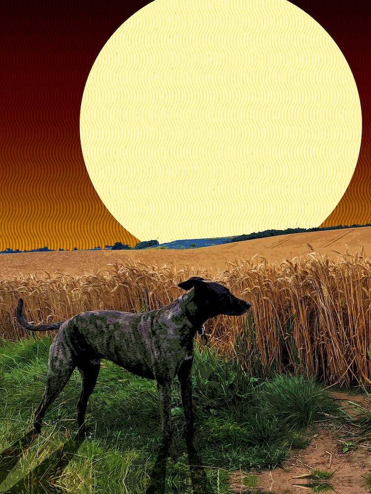 Wylam The Dog