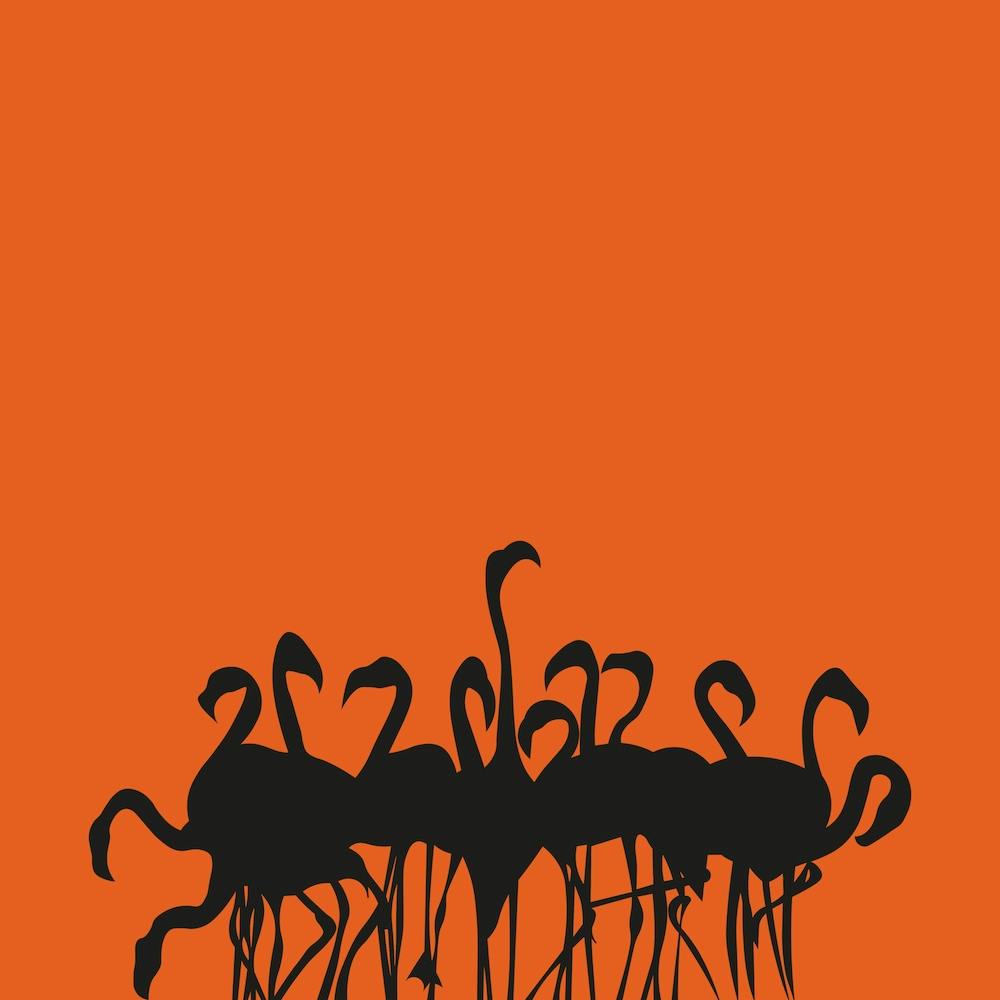 Flamboyance Orange Square