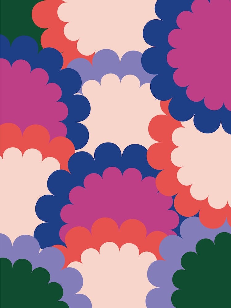 Colorful Summer Flowers
