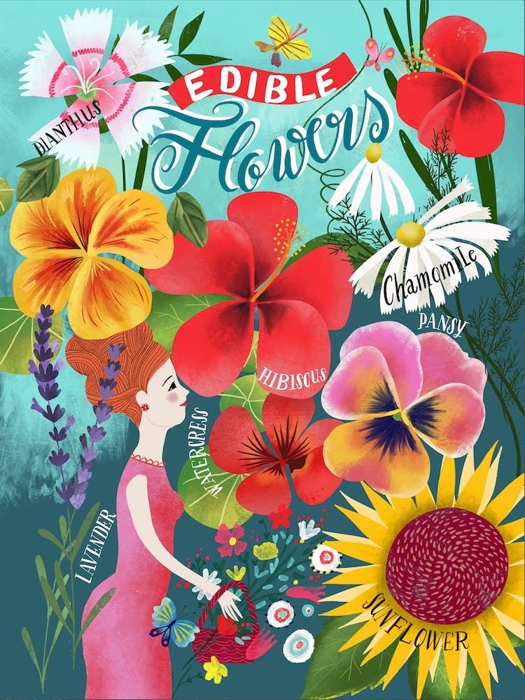 Edible Flowers Chart