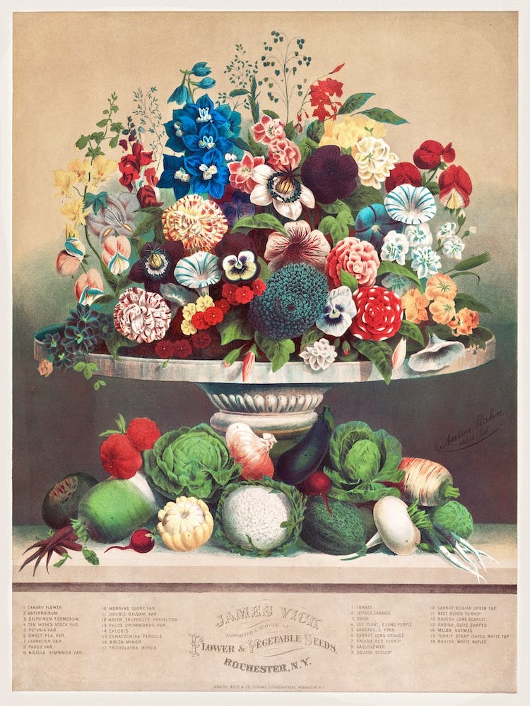 Fleurs Et Légumes (Ca 1800) Par Anton Carl Rahn