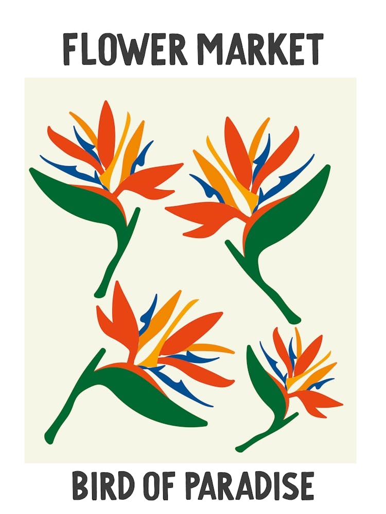 Flower Market Poster Bird Of Paradise