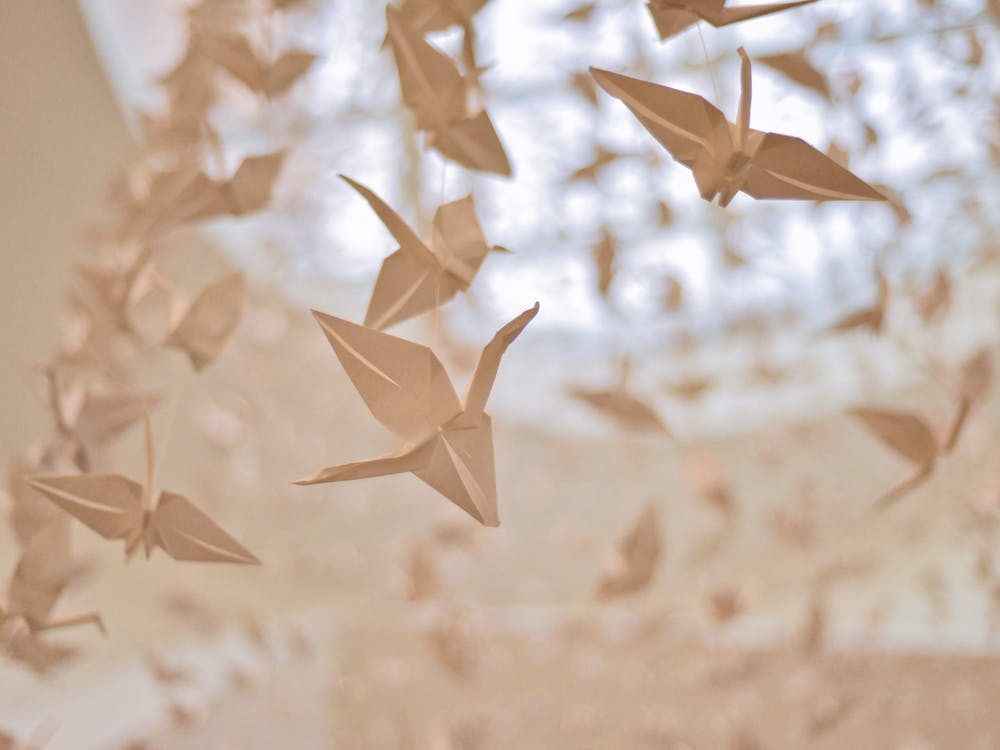 Oiseaux en Origami
