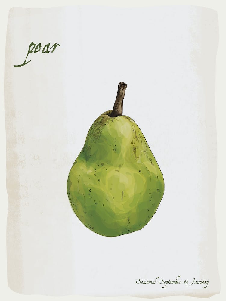 Pear Vintage illustration Print