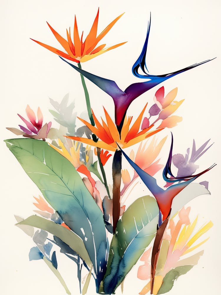 Bird Of Paradise Flower Illustration 1
