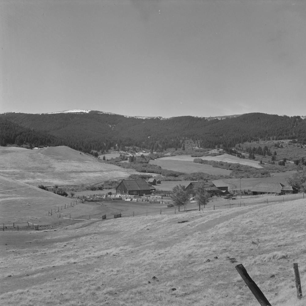Park County, Montana Cattle Ranch By Russell Lee