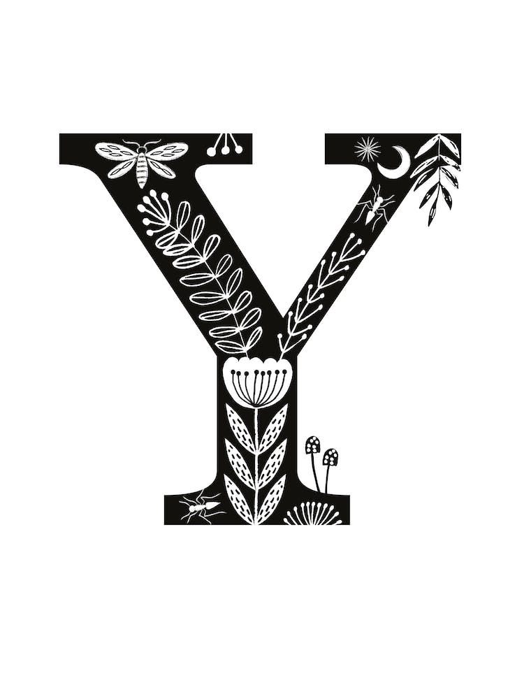 Letter Y