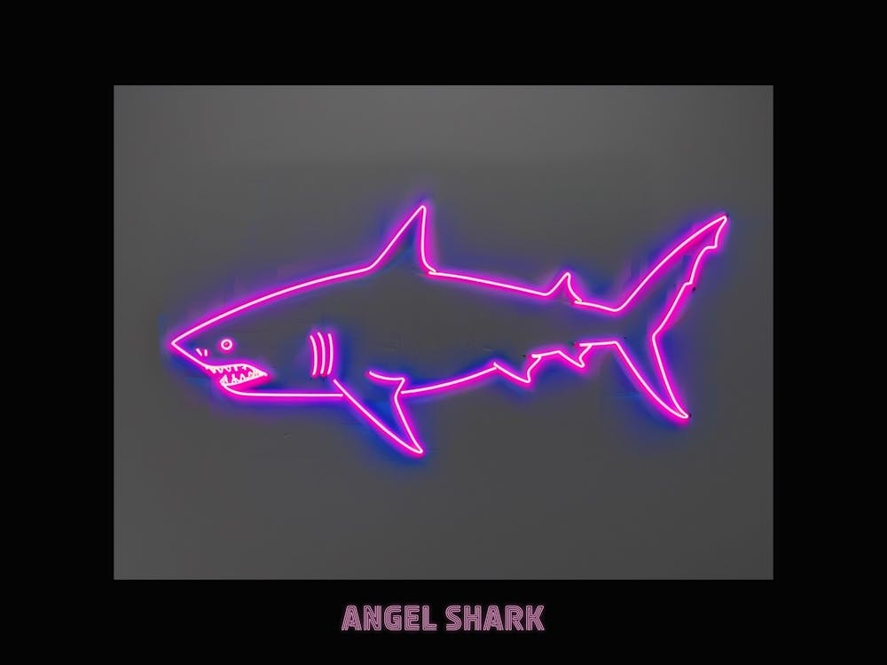 Neon Pink Magenta Angel Shark Poster 2