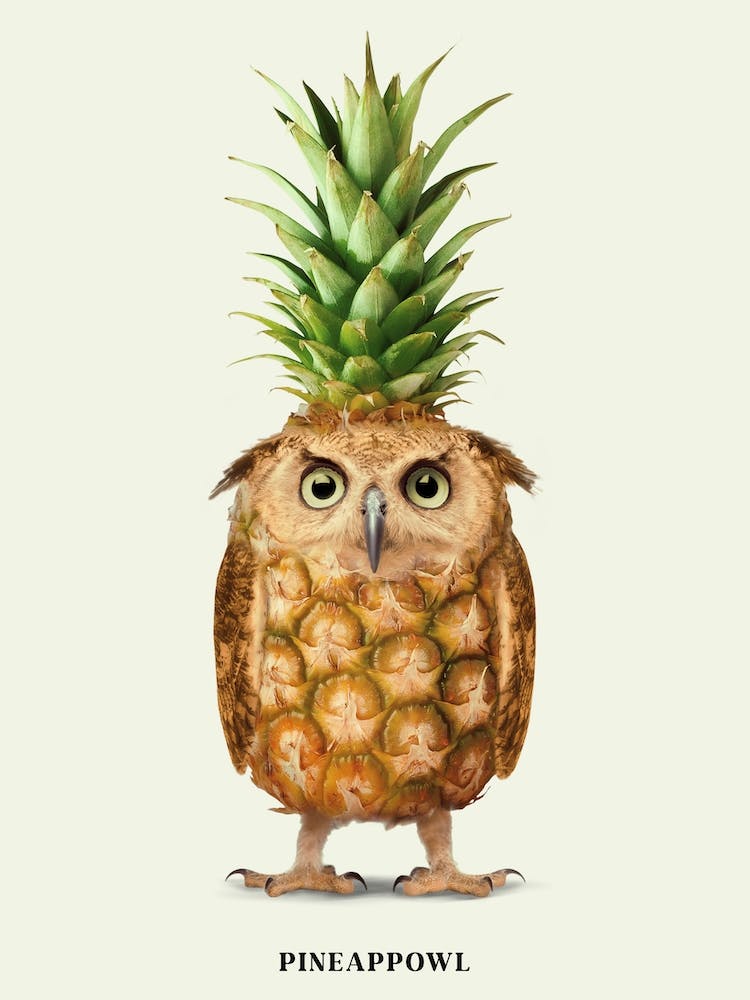 Pineappowl Green & Yellow