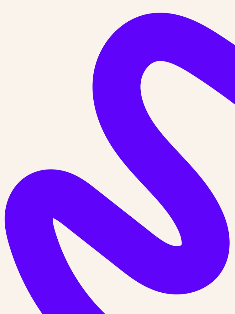 S Logo 2