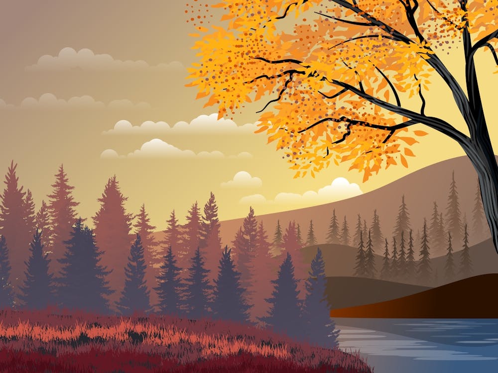 Trees Sunset Lake River Fall Water Clouds Sky Environment Art Scenic Scenario Horizon Panorama Nature