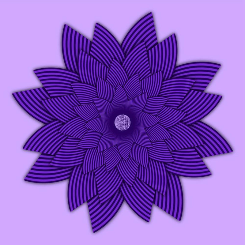 Purple Lotus Flower