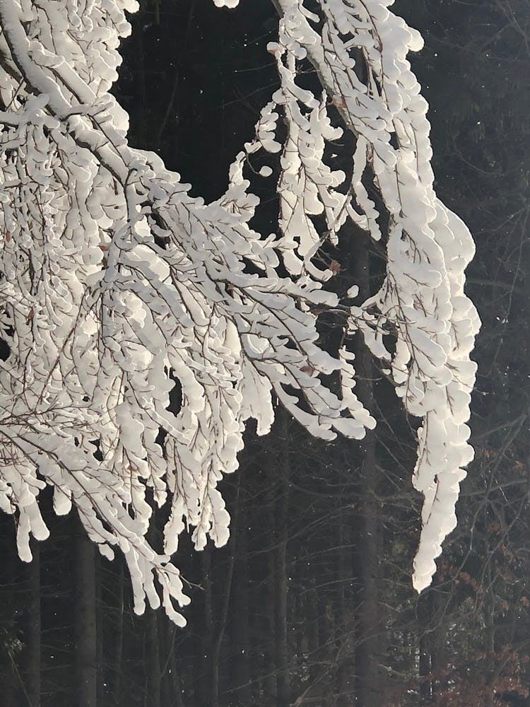 D4f57bd1 36b4 4e75 8a18 7ef3e8e4dcfa