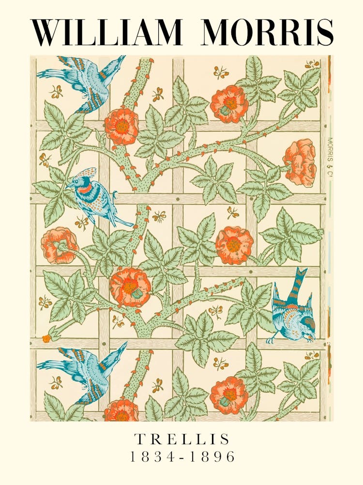 William Morris Trellis