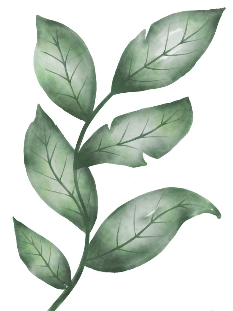 Green Watercolor Leaves - Two Set