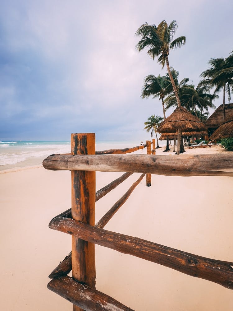 Caribbean Beach In Mexico