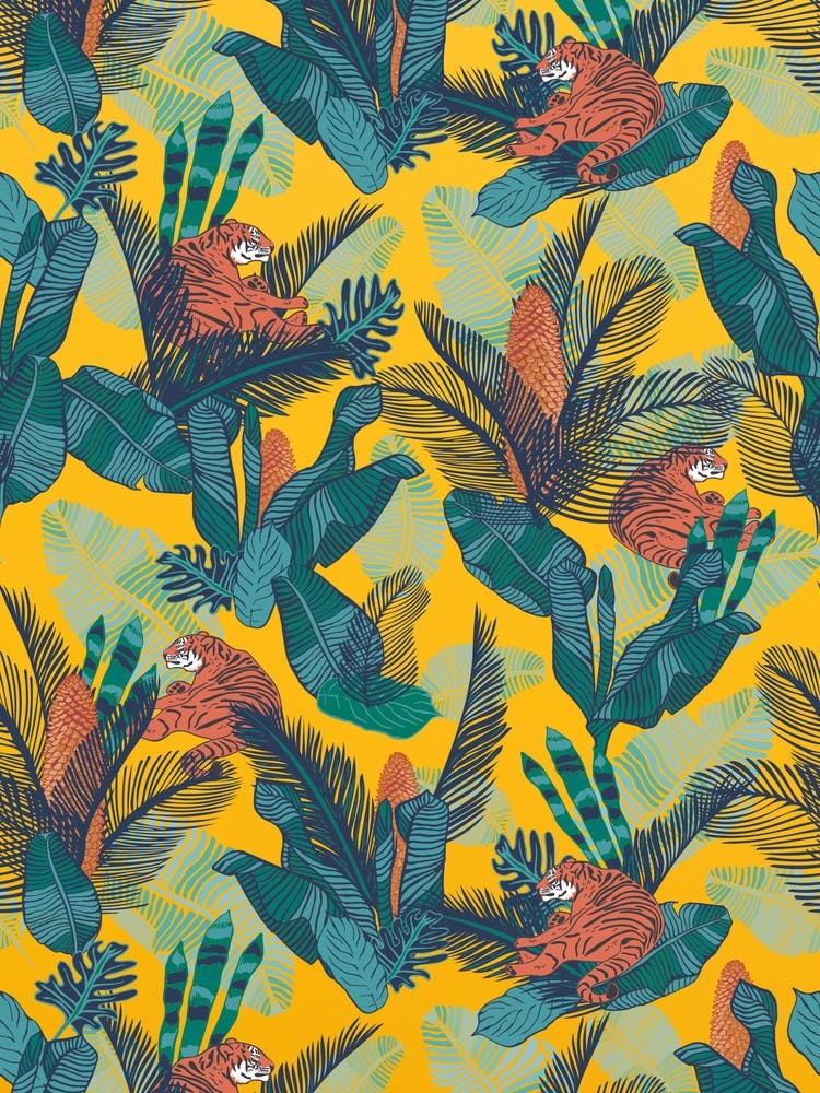 Monkeys In The Jungle