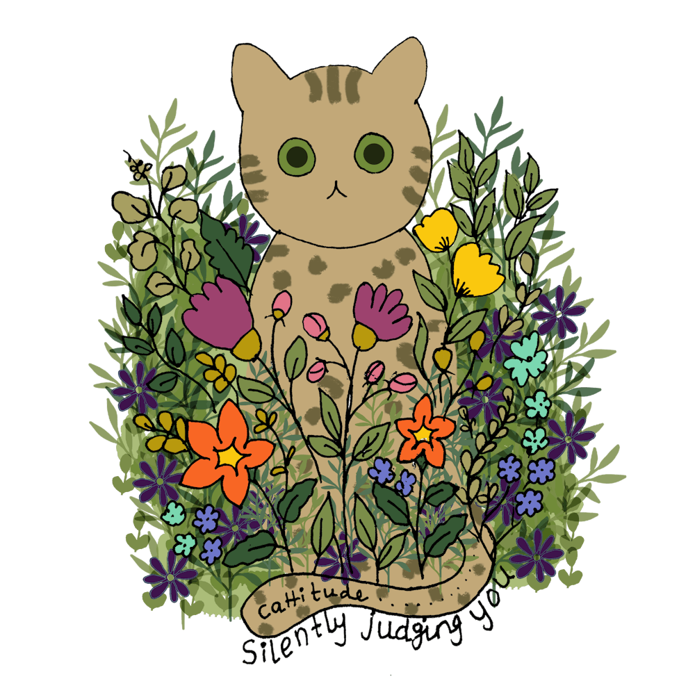 Funny cat judging you