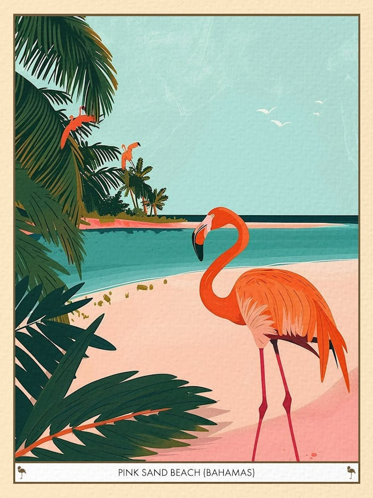 Greater Flamingo Pink Sand Beach Bahamas Tropical Illustration 3 Poster