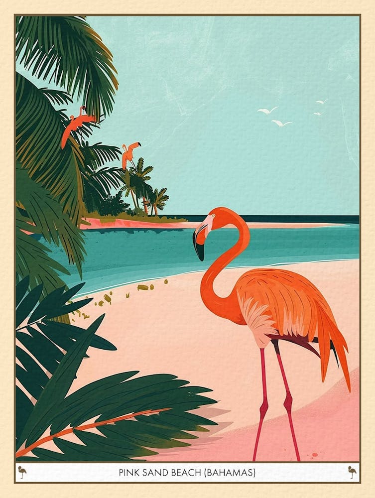 Greater Flamingo Pink Sand Beach Bahamas Tropical Illustration 3 Poster