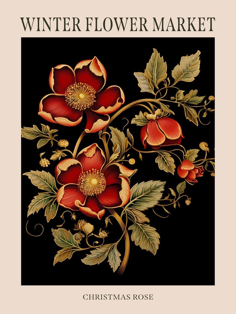 Christmas Rose 1 Winter Flower Market Poster