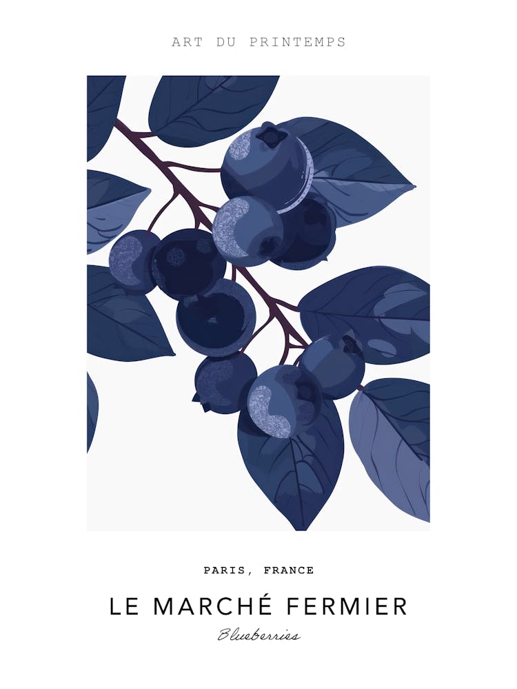 Blueberries Le Marche Fermier Poster 2