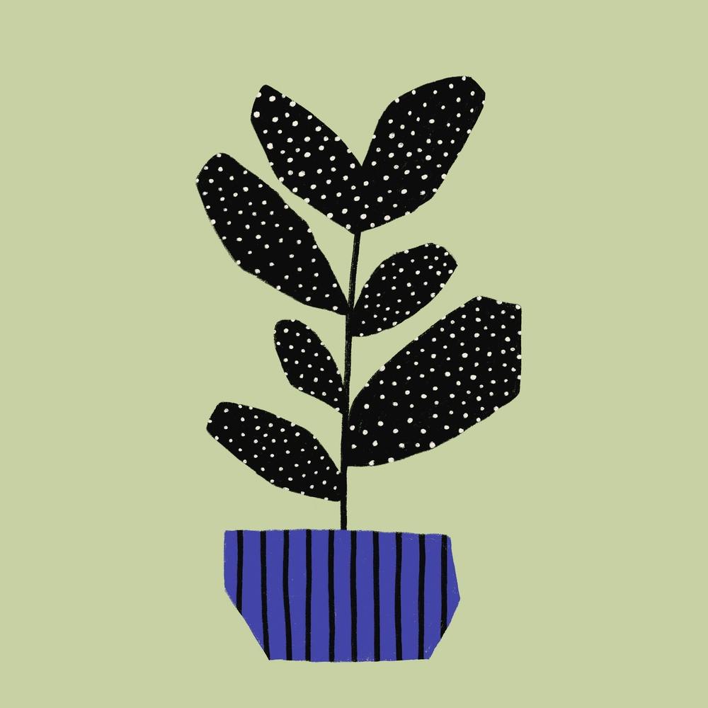 Modern Plant With Dots Square