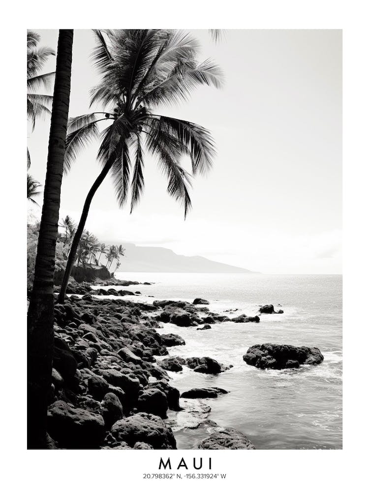 Poster Of Maui, Black And White Analogue Photograph 2