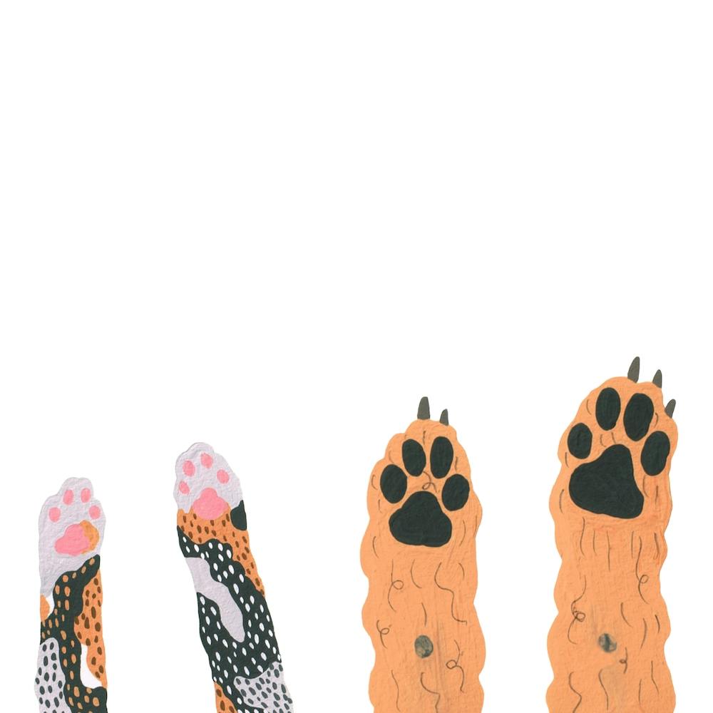 Paw High Fives