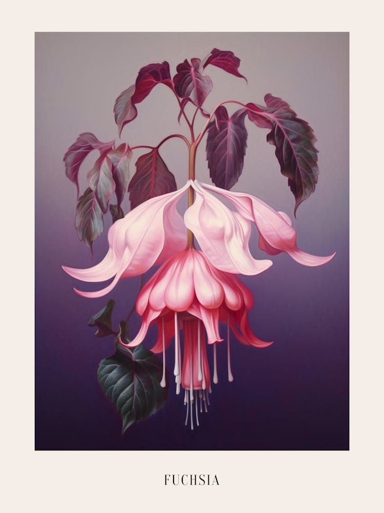 Florale Illustration Fuchsia 4 Poster