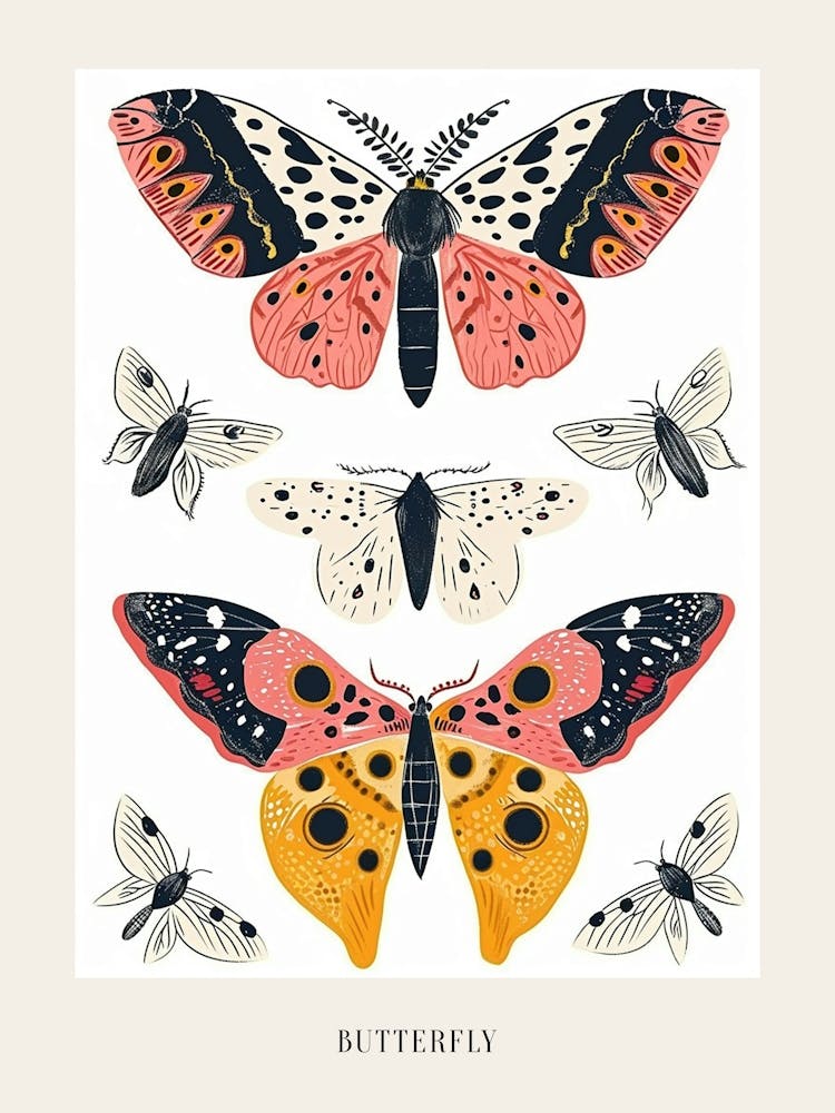 Colourful Insect Illustration Butterfly 6 Poster