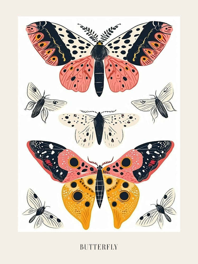 Colourful Insect Illustration Butterfly 6 Poster