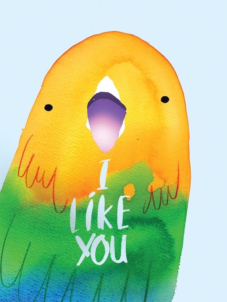 I Like You