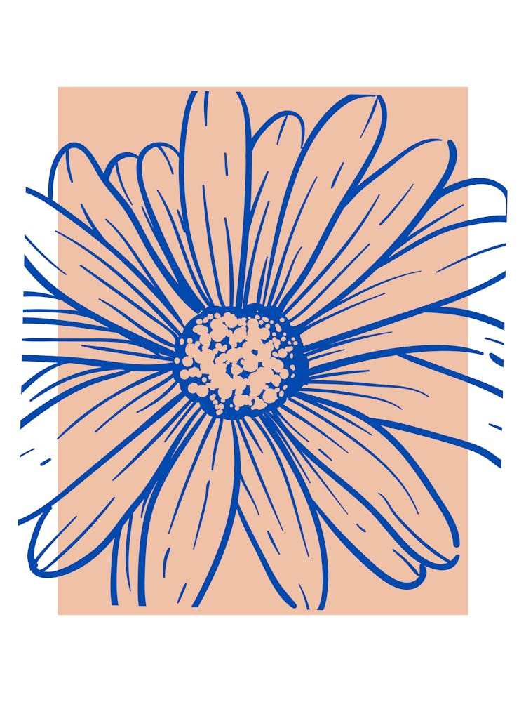Daisy 1