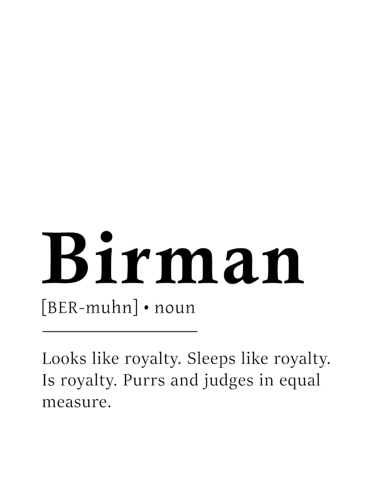 Birman Definition Poster - Dictionary