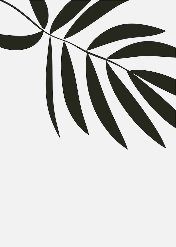 Art Abstrait Botanique Noir et Beige 5