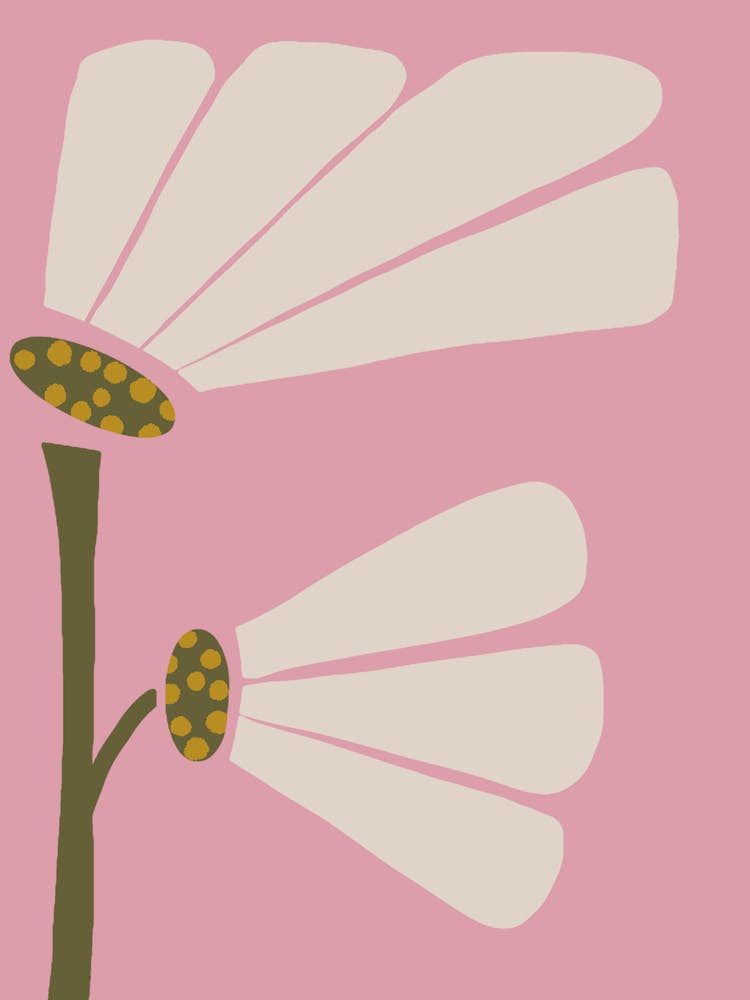 Retro Floral Delight - Mid Century Modern Pink