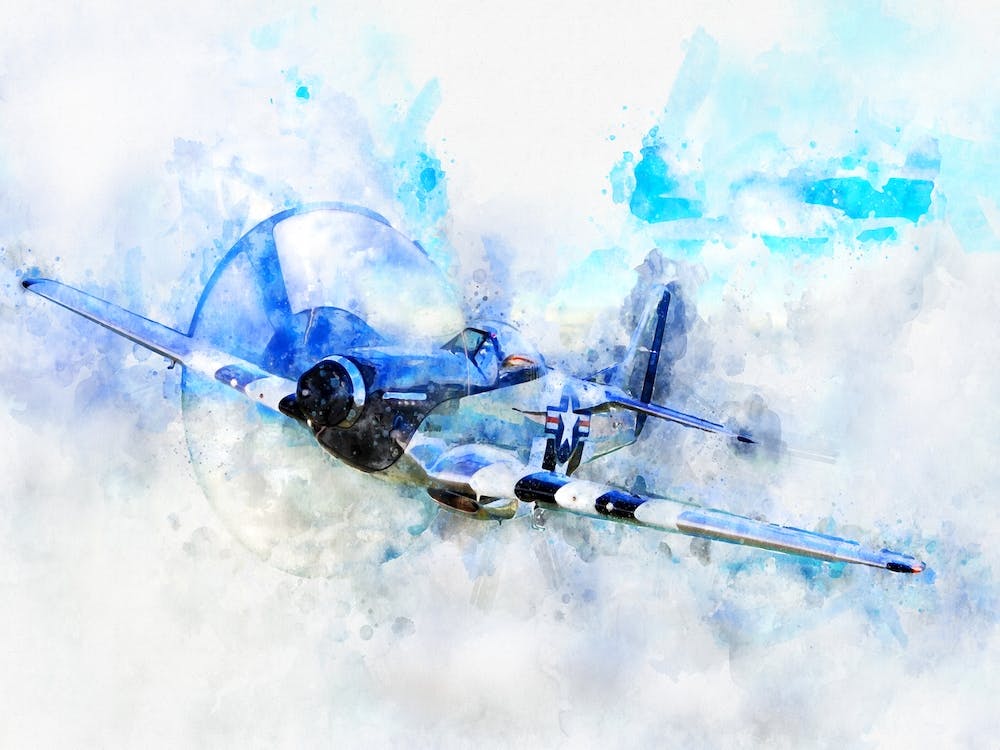 Plane In The Sky