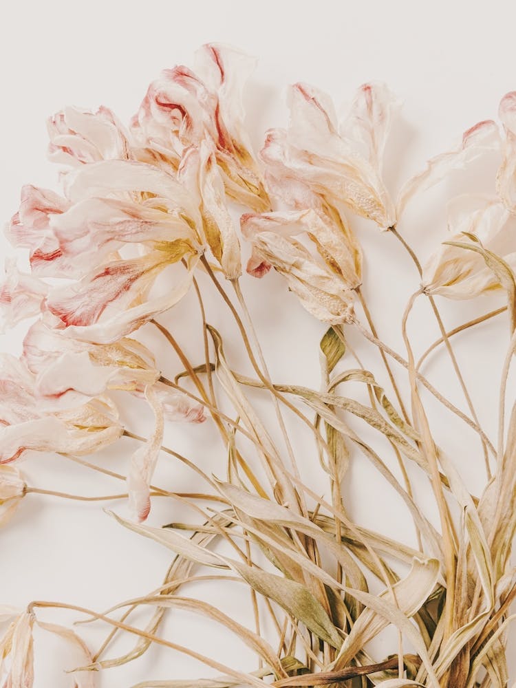 Dried Floral Arrangement