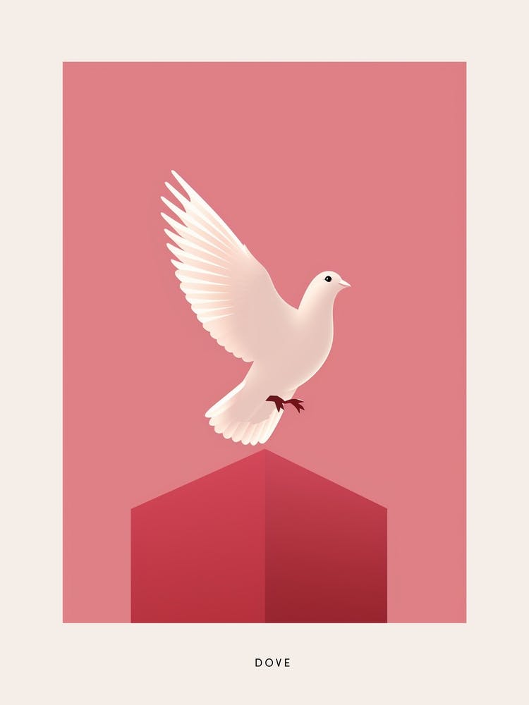 Minimalist Dove Bird Poster