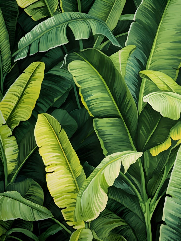 Green Banana Leaves