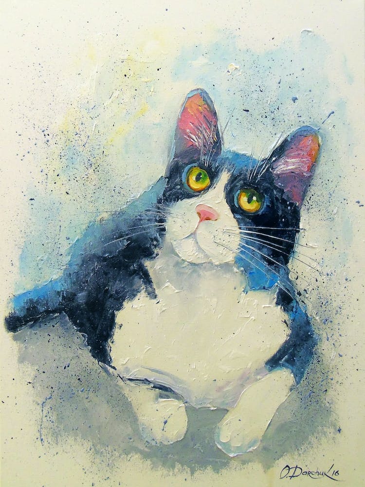 Favorite cat