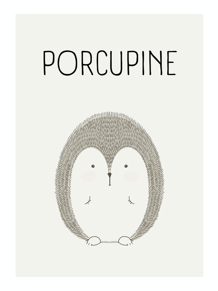 Porcupine
