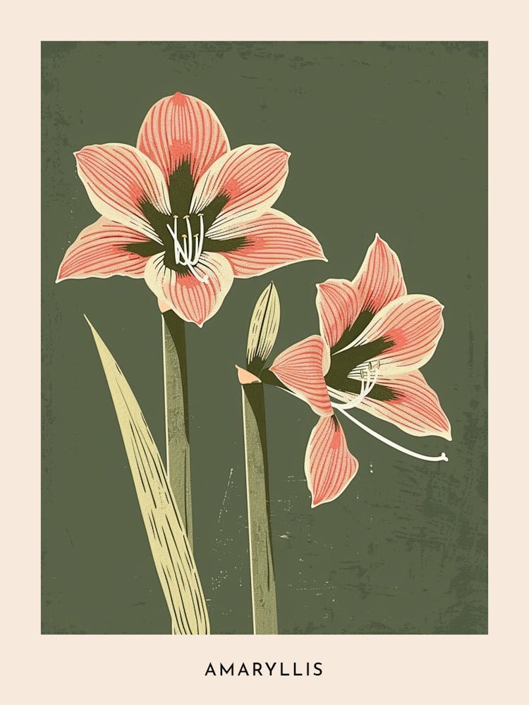 Pink & Green Amaryllis 3 Flower Poster