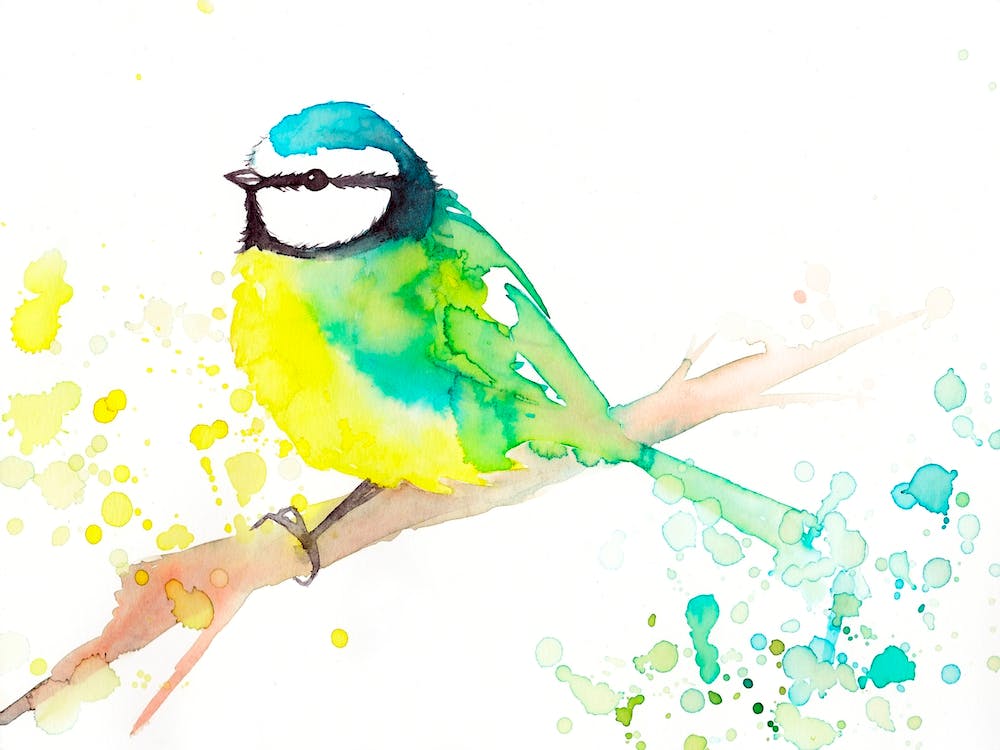 Green Bird