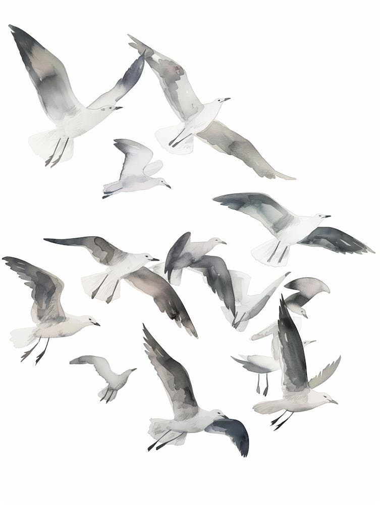 Monochrome Flock of Seagulls